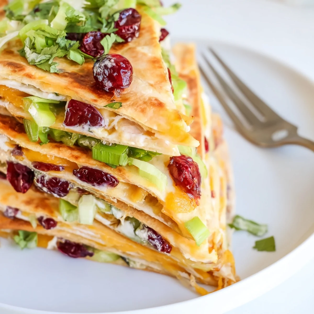 Cranberry Jalapeño Dip Quesadillas